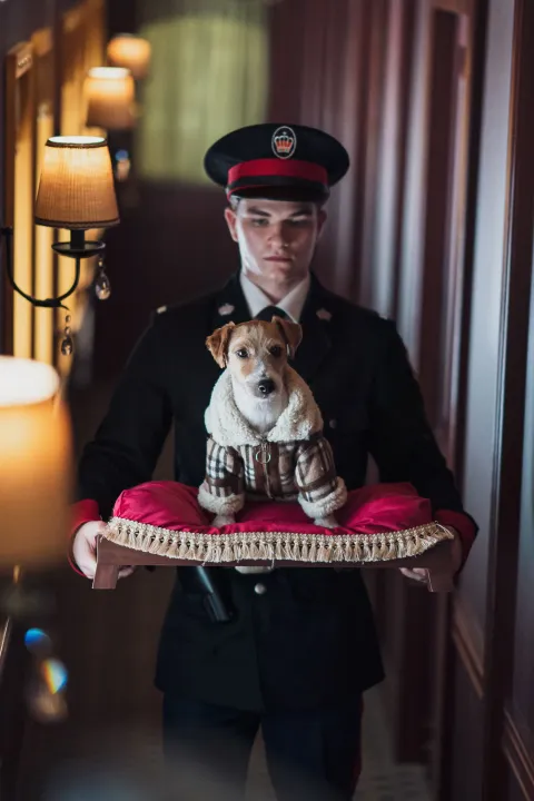 Джентльмен — кадр 8