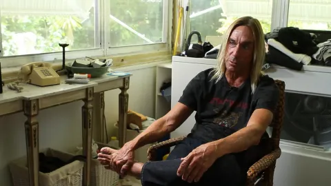 Gimme Danger. История Игги и The Stooges — кадр 5