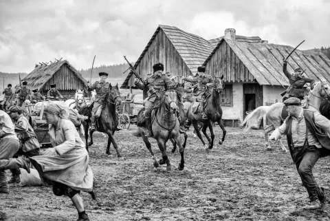 Раскрашенная птица — кадр 6