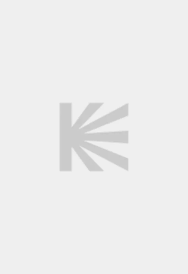 Константин Барбулеску